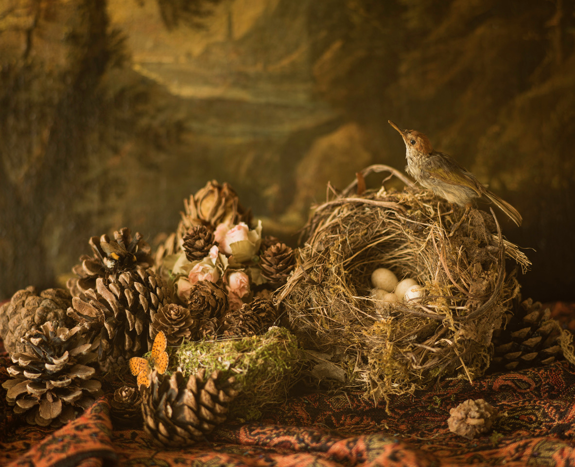 Contemplation still life